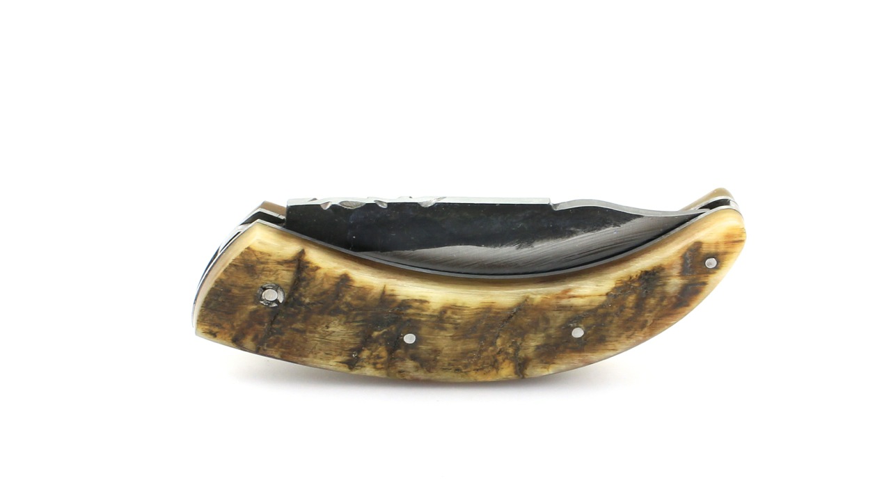 Amicu-Brut-de-Forge-2 AU SABOT AMICU corsican shepherd knife ram horn 11 cm Brut de Forge blade