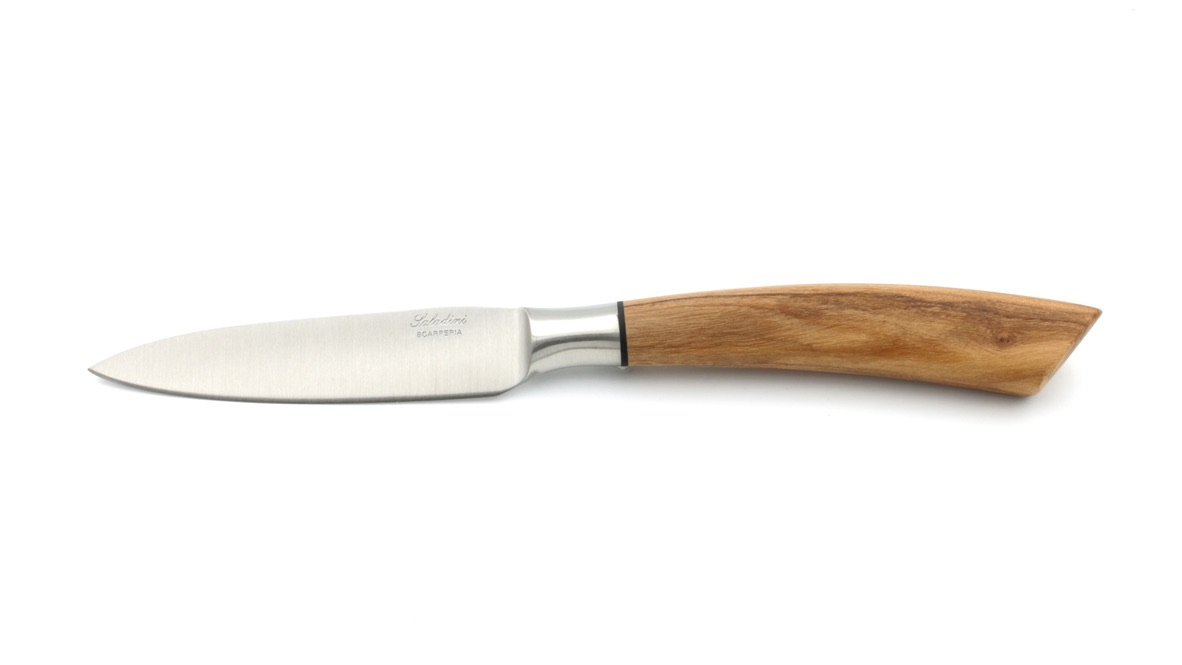 Saladini Tafel Messer Set 6-tlg. Olive