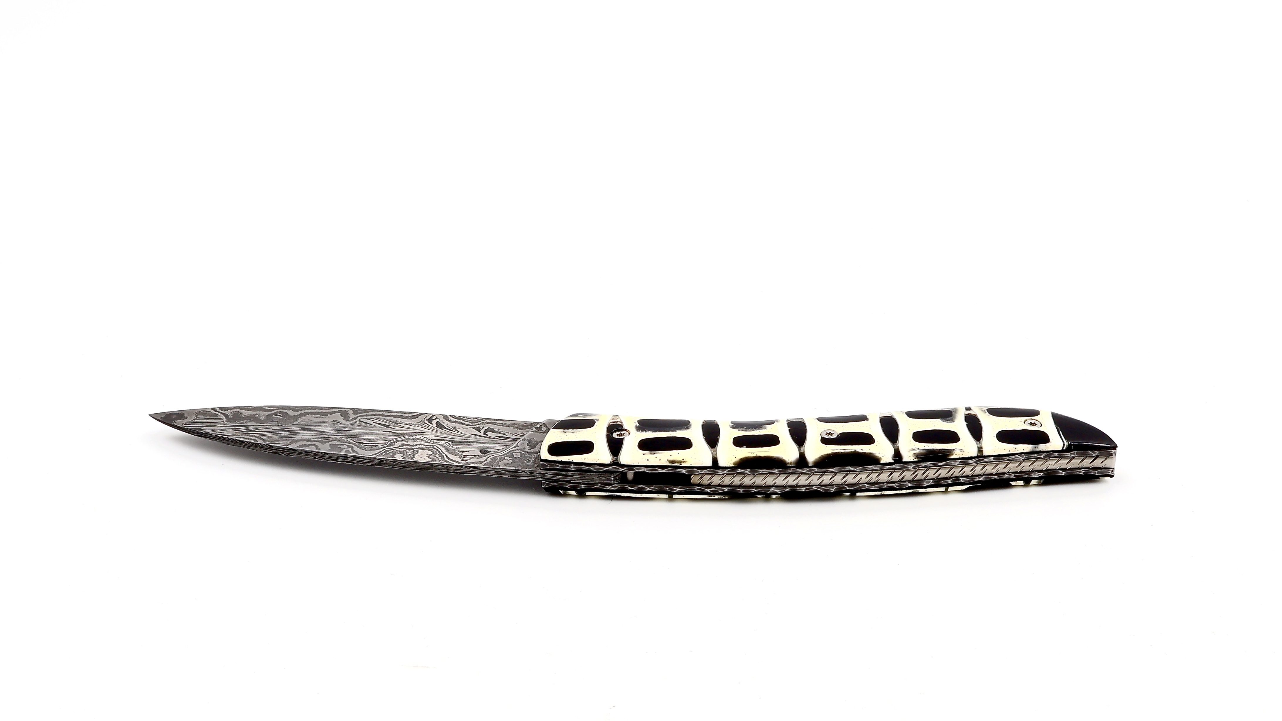 Atelier NÉVÉ Tim Bernard dinosaur bone/Muonionalusta meteorit damascus blade 