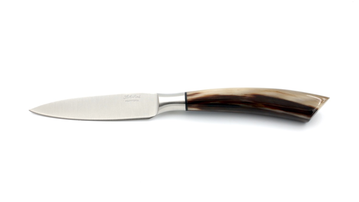 Saladini Tafel Messer Set 6-tlg. Hornspitze