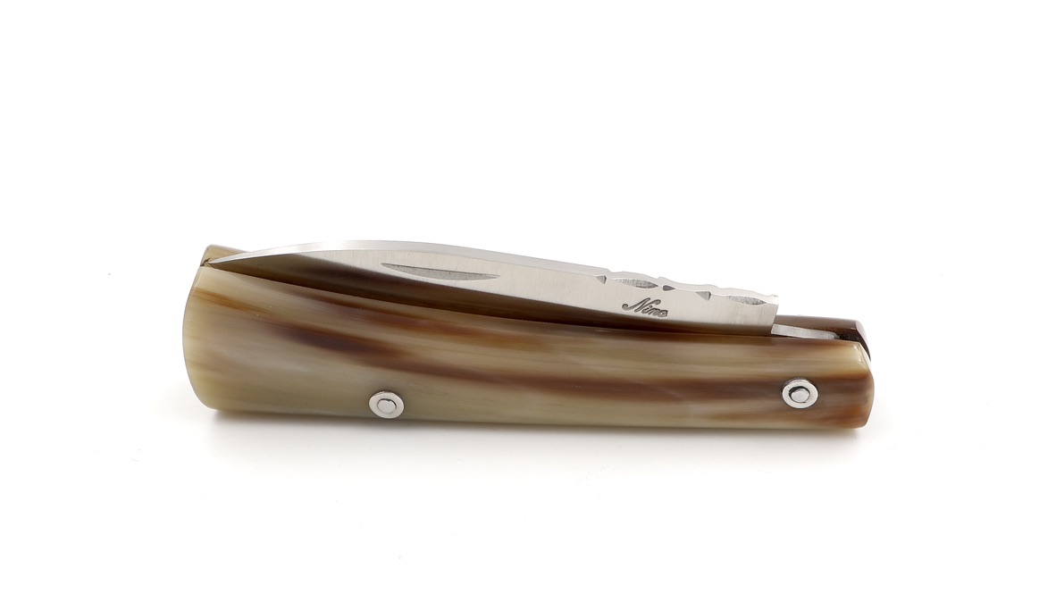 Nino Nista SAN FRATELLO knife horntip 11,5 cm 