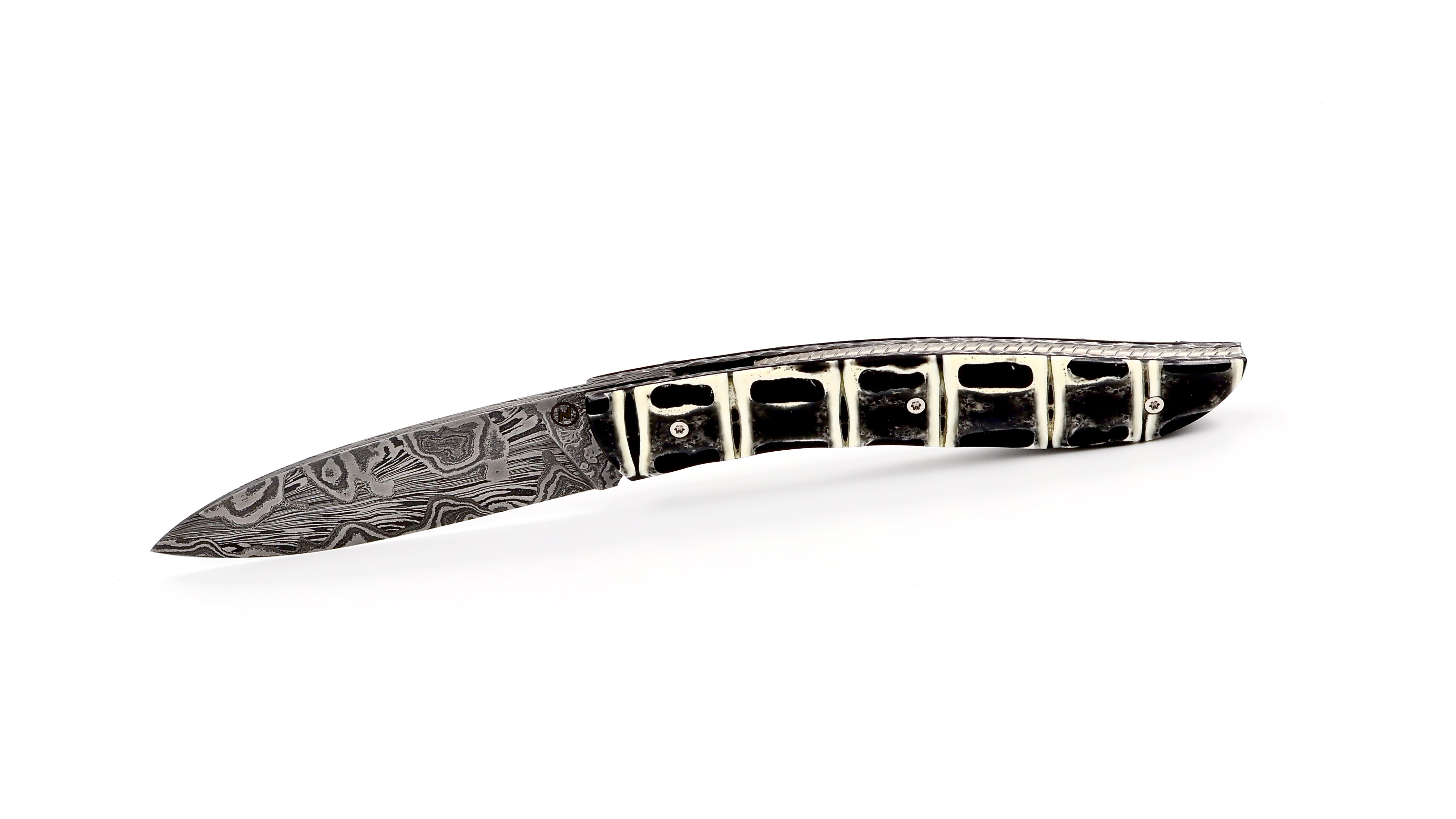 Atelier NÉVÉ Tim Bernard dinosaur bone/Muonionalusta meteorit damascus blade 