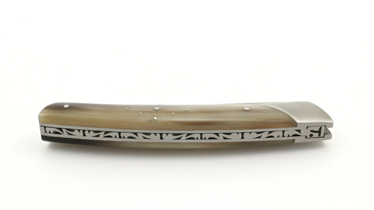 Chambriard-Compagnon-Hornspitze-2 Chambriard Thiers COMPAGNON Hornspitze Piquetage