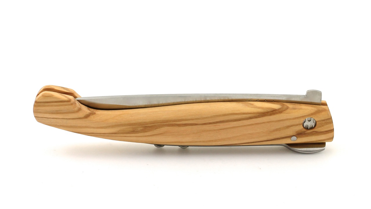 Saladini SARACCA romagnola  23,5 cm Olive