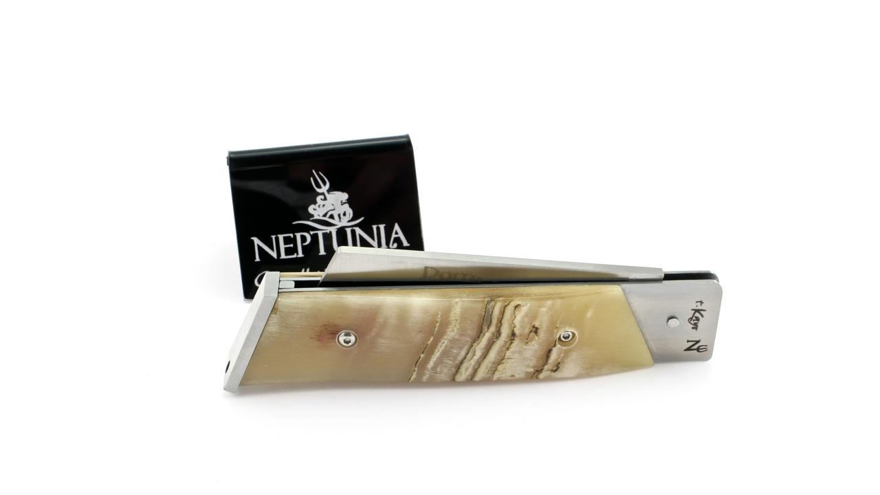 neptunia-dorry-12-cm-widderkruste-4