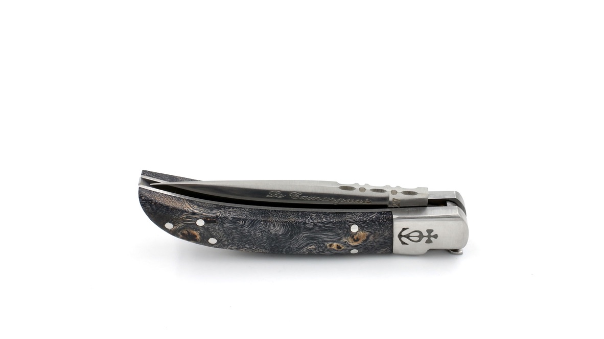 Le Camarguais Maserpappel 10 cm  