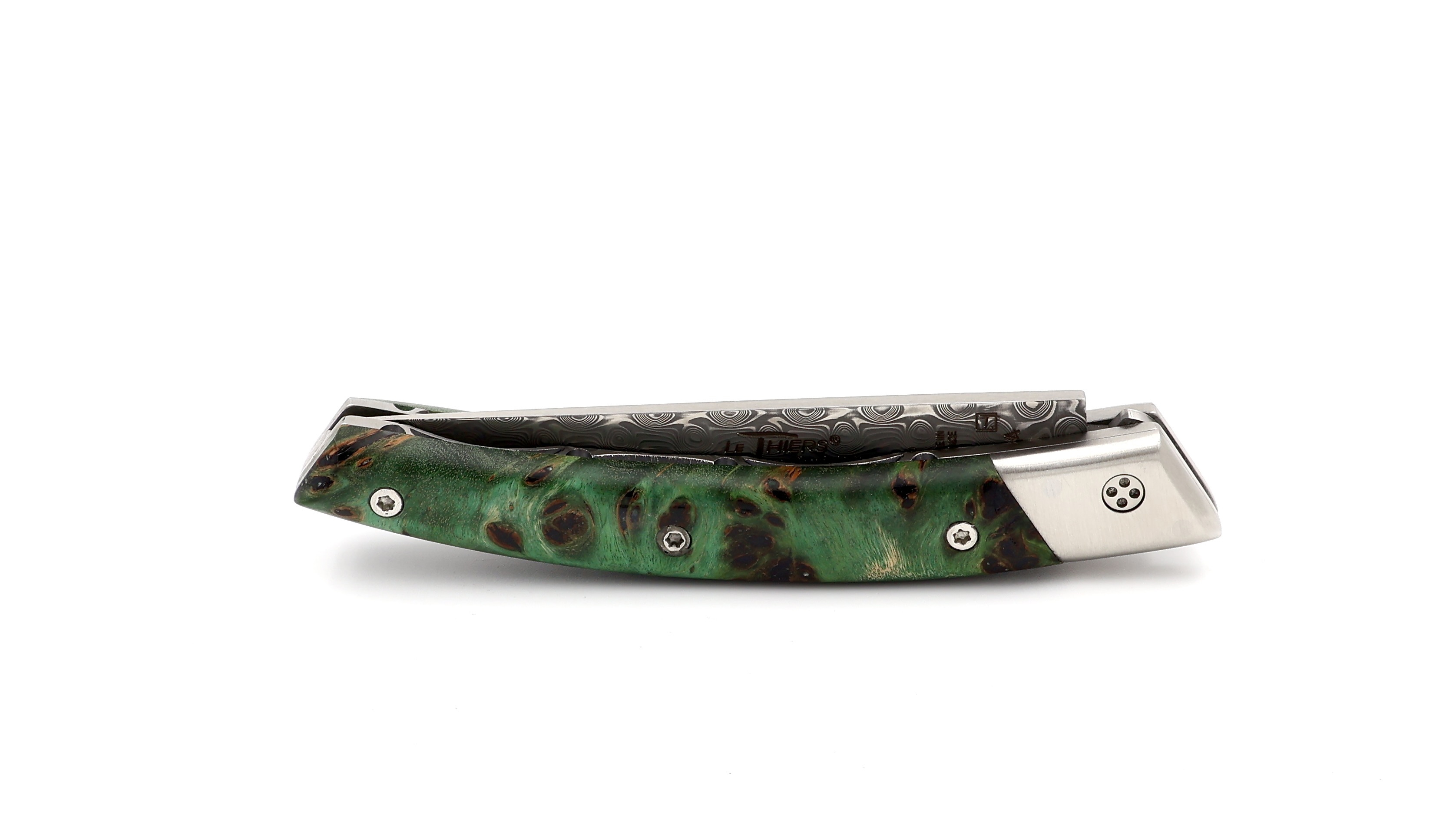 Claude DOZORME Thiers RLT Pappel Wurzel