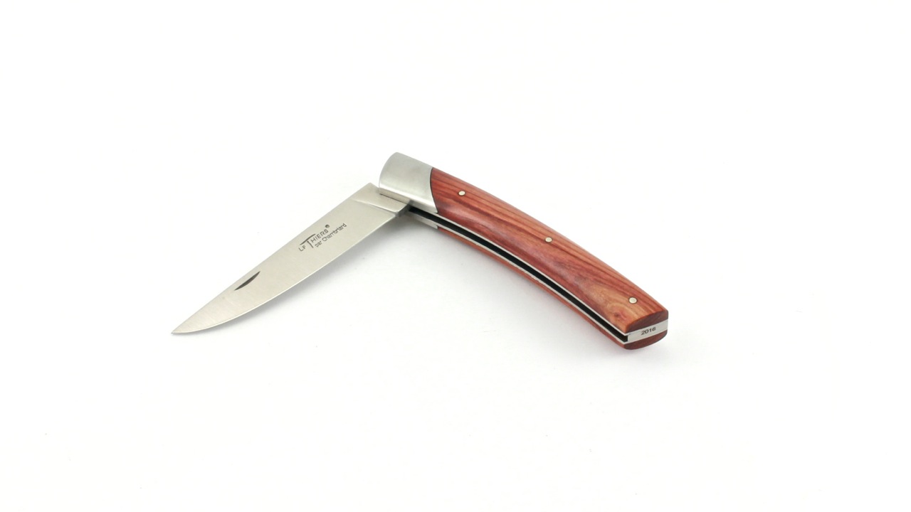Chambriard Thiers COMPACT Rosenholz