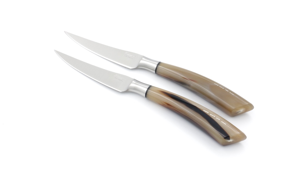 IMG_2557 Saladini Steakmesser-Set 2-tlg. Hornspitze