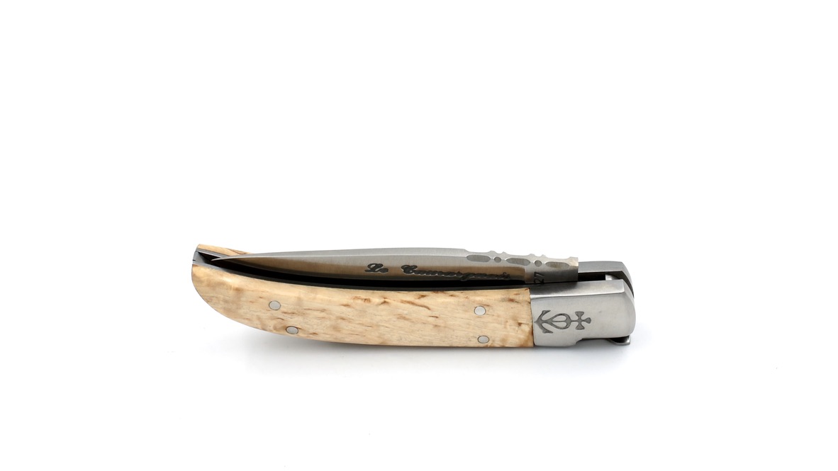 Le Camarguais Maserbirke 10 cm 