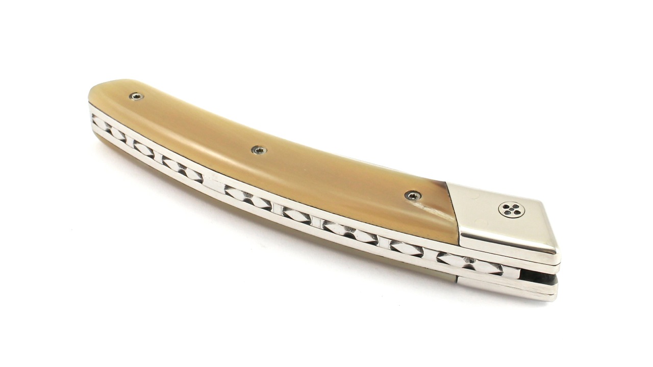 RLT-Hornspitze-hell-2 Claude DOZORME Thiers RLT Hornspitze