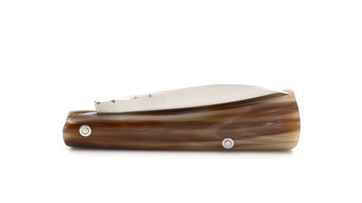 Nino Nista SAN FRATELLO knife horntip 11,5 cm 