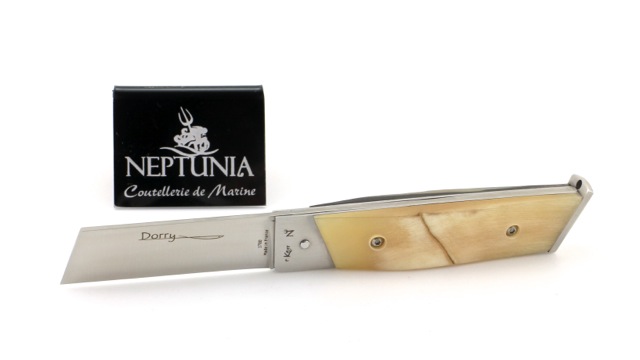 DORRY-10-cm-Widderkruste-3 NEPTUNIA DORRY 10 cm Widderkruste