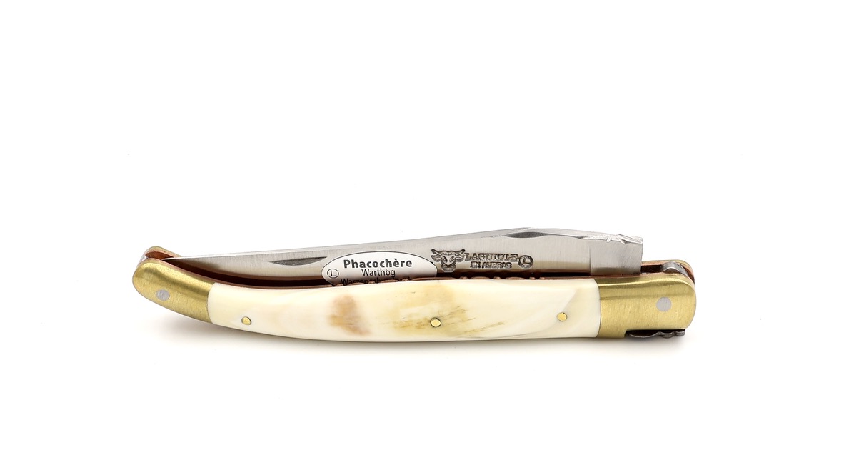 Laguiole en Aubrac knife BIJOU warthog with chiseled plates 12 cm