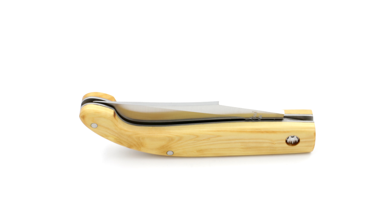 Saladini knife ZUAVA NEXT boxwood