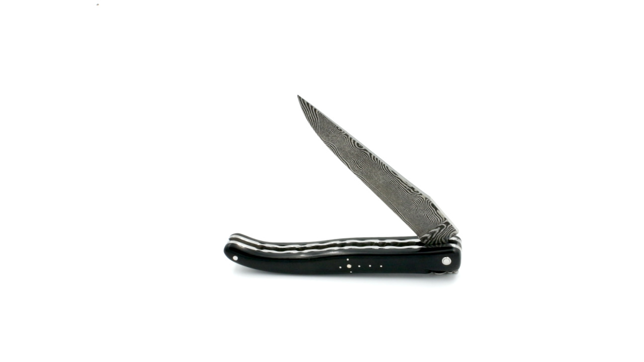 IMG_3010 Laguiole en Aubrac damascus ebony full handle with double plates 12 cm shiny