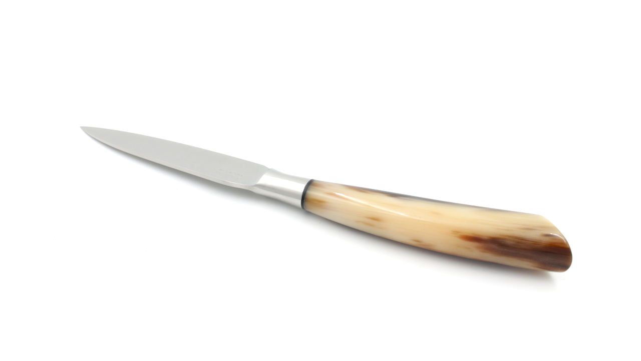 Saladini Tafel Messer Set 6-tlg. Hornspitze