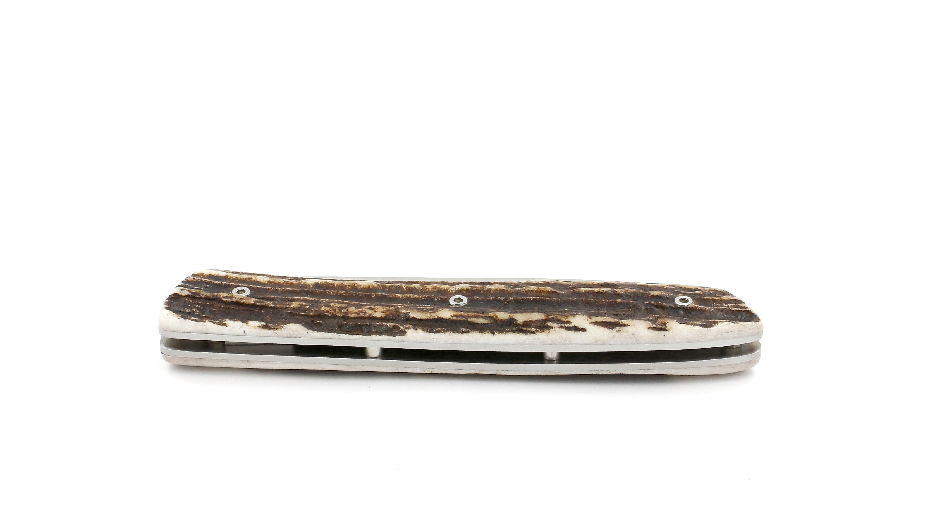 PERCEVAL L08 stag horn