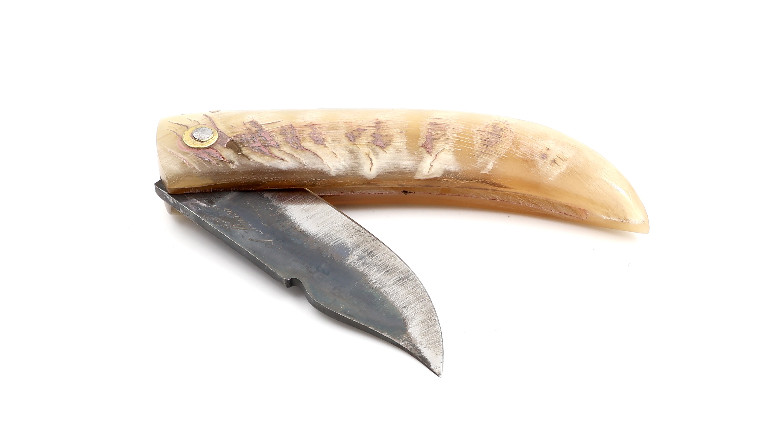 Alexandre Musso Curnicciolu ram horn light