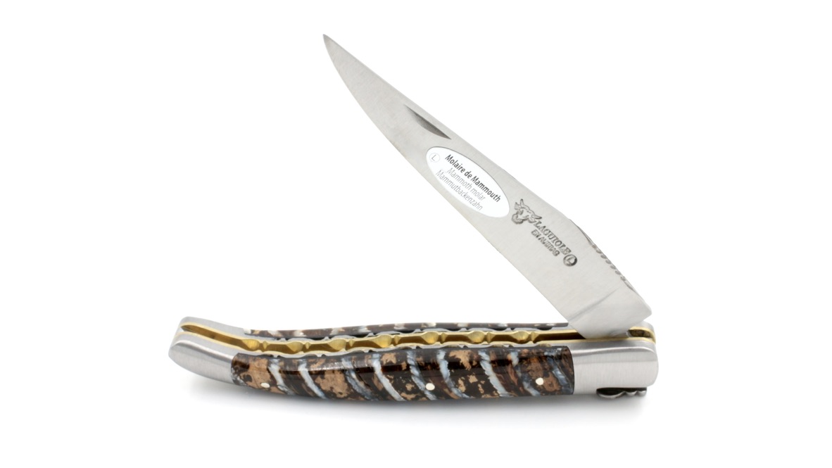 Laguiole en Aubrac double plate knife Mammoth molar blue 12 cm