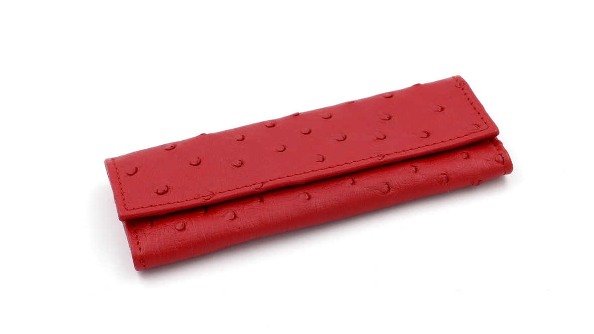 C05BA2EF-F915-4611-809E-AFAD65120BDE_1_105_c Max Capdebarthes Taschenetui LESPARROS Straussenleder rot 15 cm