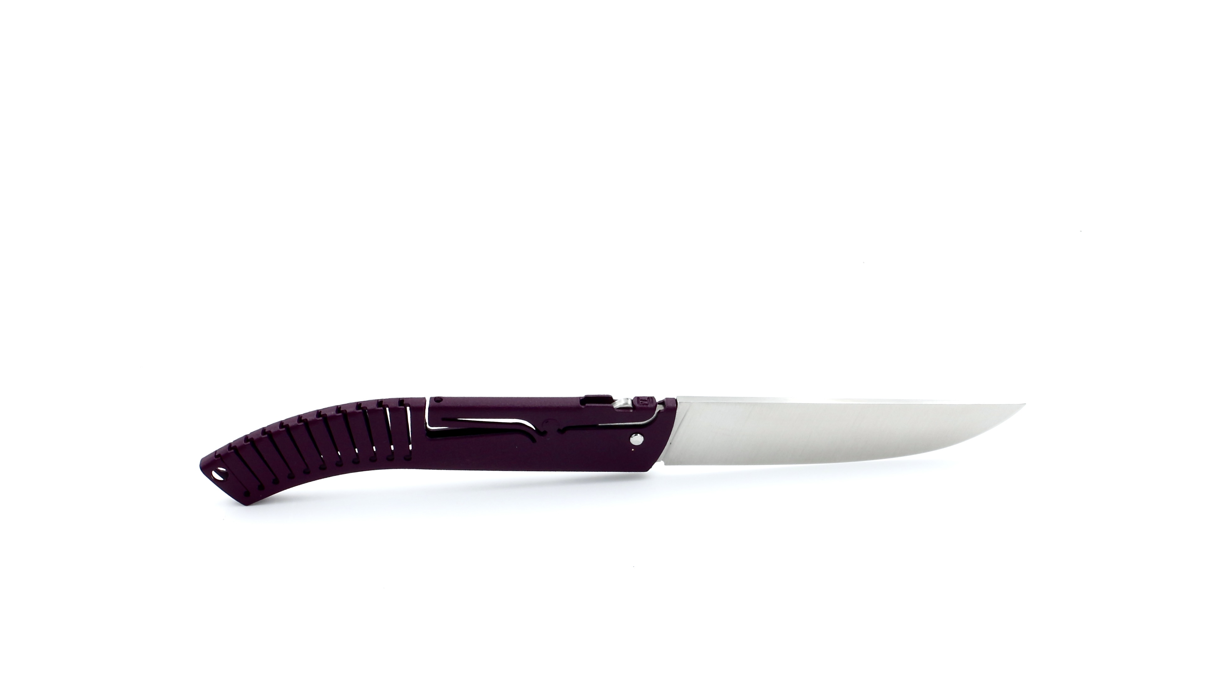 E16F87B3-303F-4E0C-ACB0-7FCA660B49ED_1_201_a LIÉRANDE Thiers knife aubergine 14C28N
