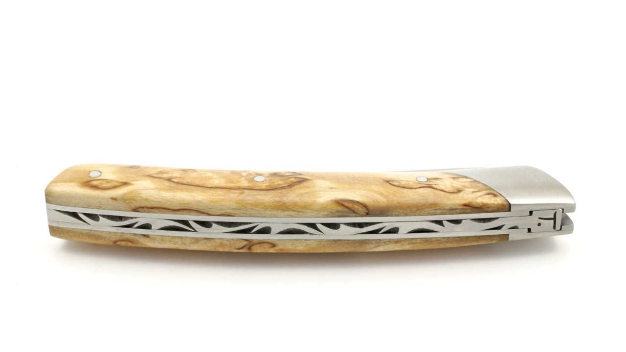 Chambriard Thiers COMPAGNON  Maserbirke