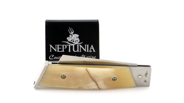 NEPTUNIA DORRY 10 cm ramhorn