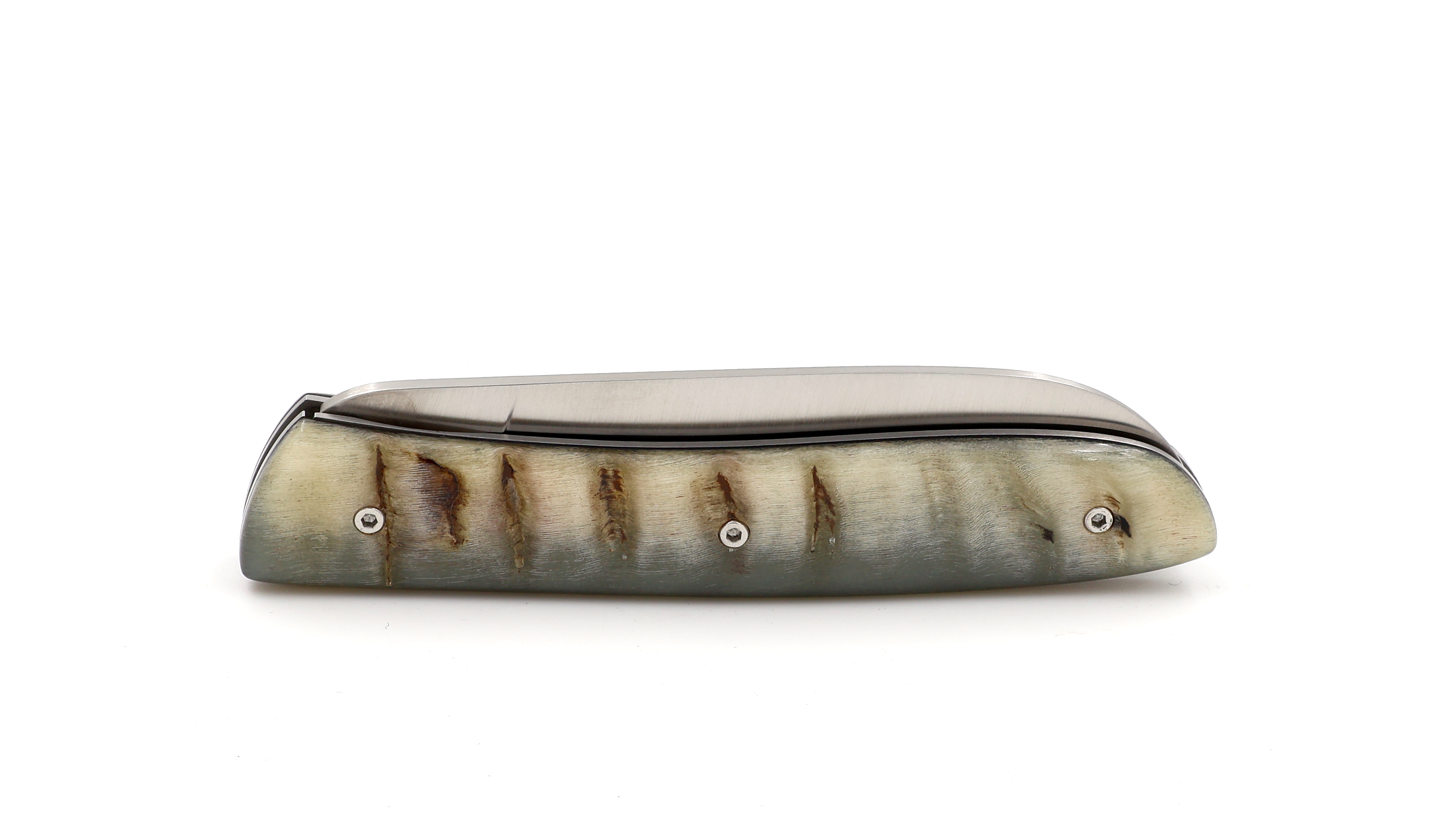 PERCEVAL L08 Widderhorn hell