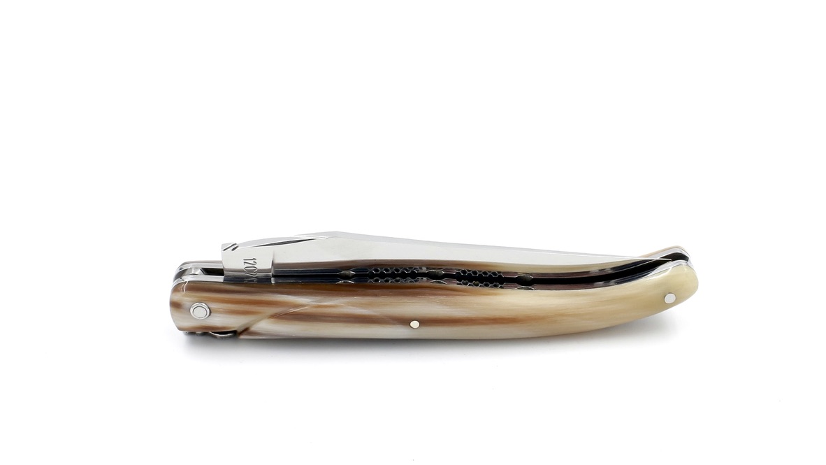 D62FA6C2-FFA6-43A9-B292-0260D1ABD5AF_1_105_c Laguiole en Aubrac Spiralfeder Hornspitze massiv Doppelplatine 12 cm