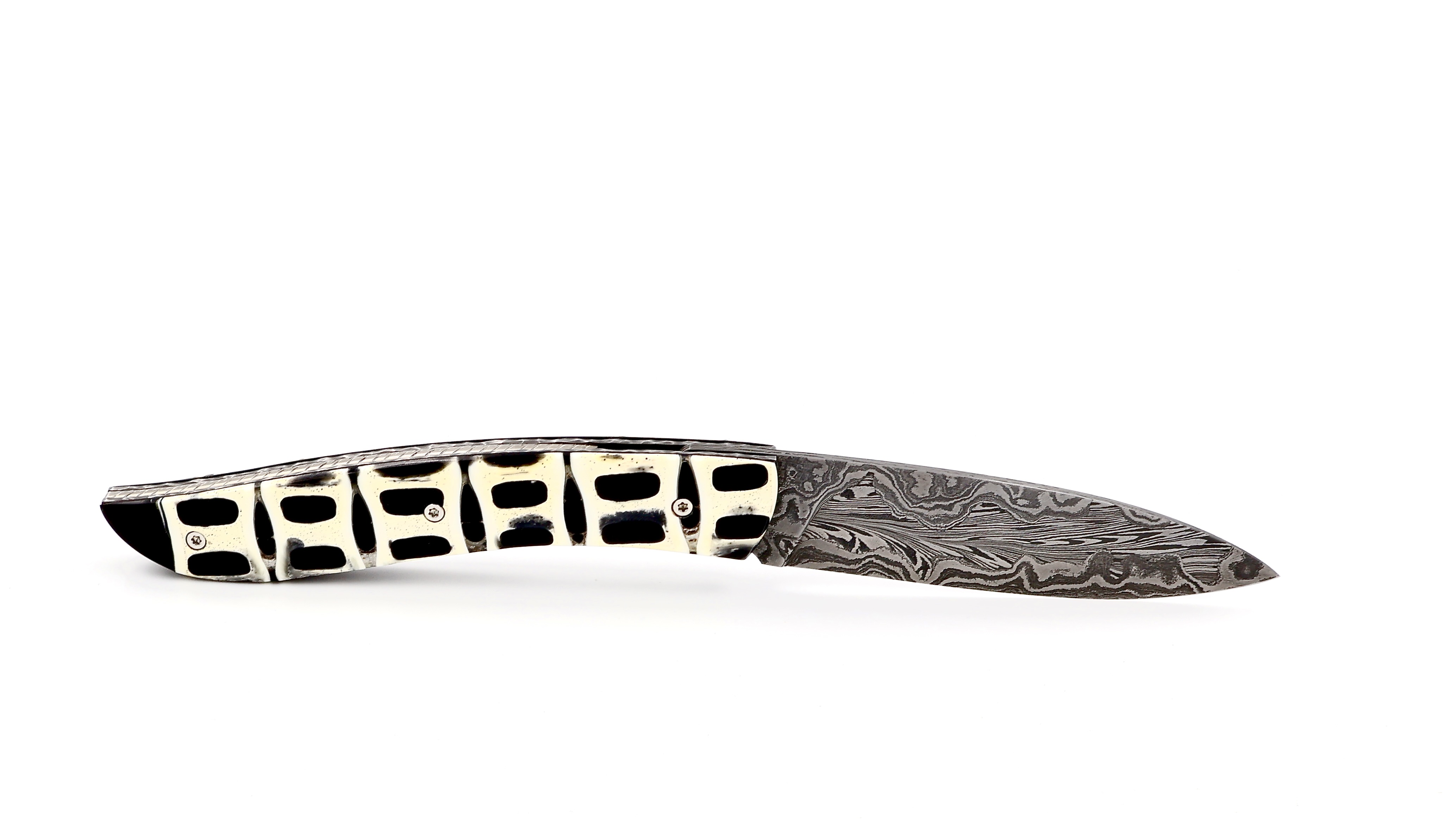 Atelier NÉVÉ Tim Bernard dinosaur bone/Muonionalusta meteorit damascus blade 