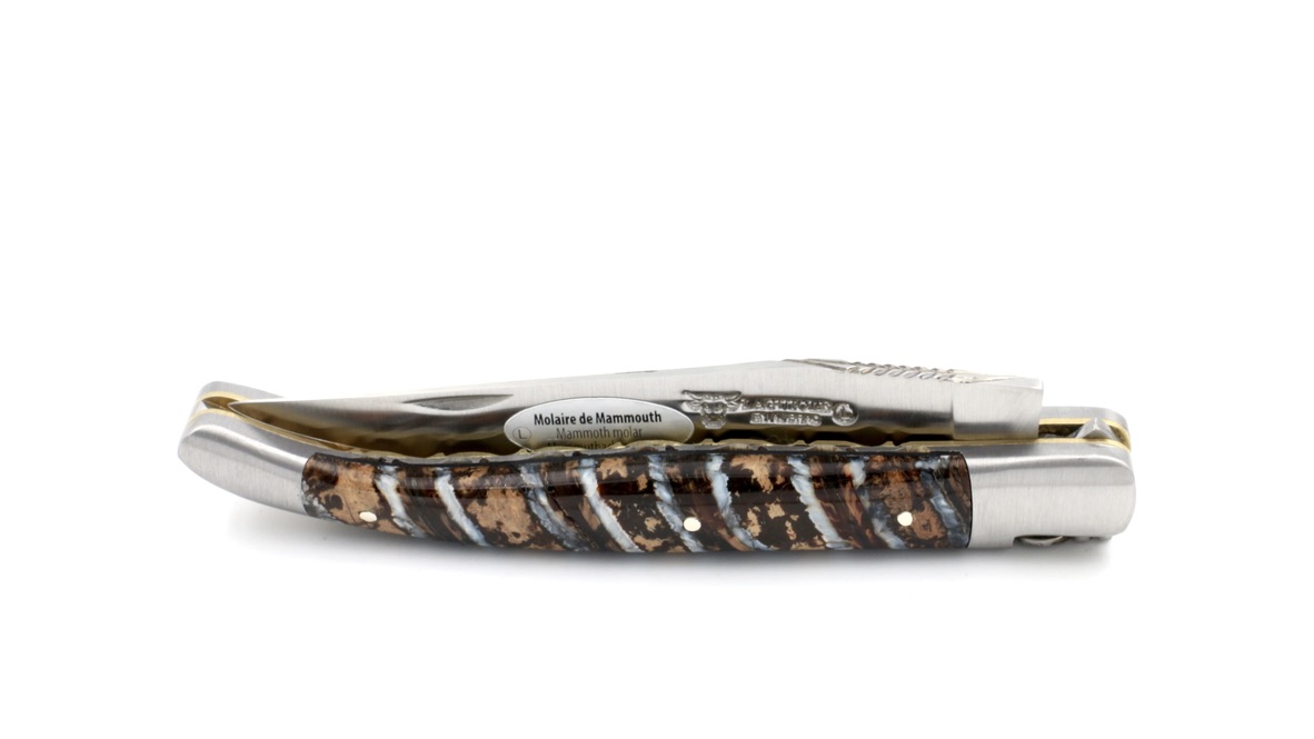 Laguiole en Aubrac double plate knife Mammoth molar blue 12 cm