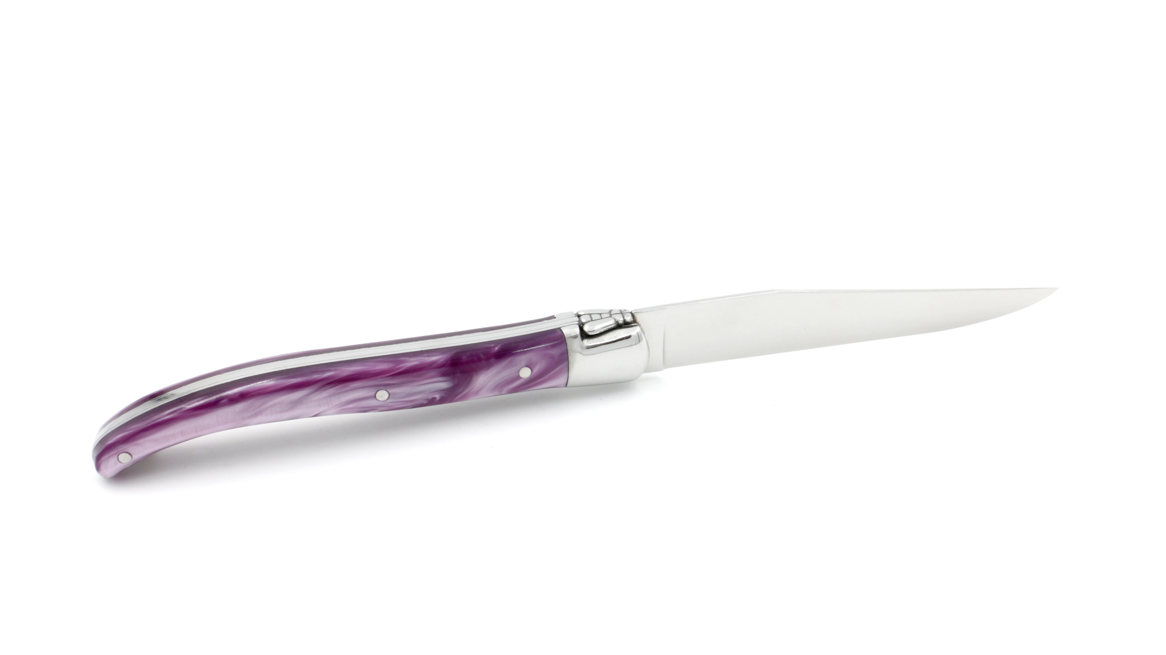 A1370B71-EA33-4102-AA04-81778EEE5F10_1_201_a AU SABOT Laguiole steakknife Harmony purple