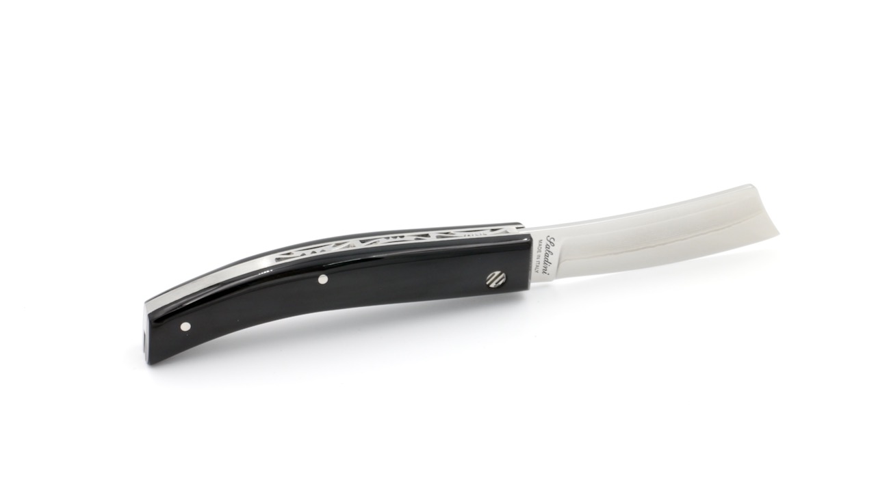 IMG_1256 Saladini RASOLINO Büffelhorn VG10 Damast