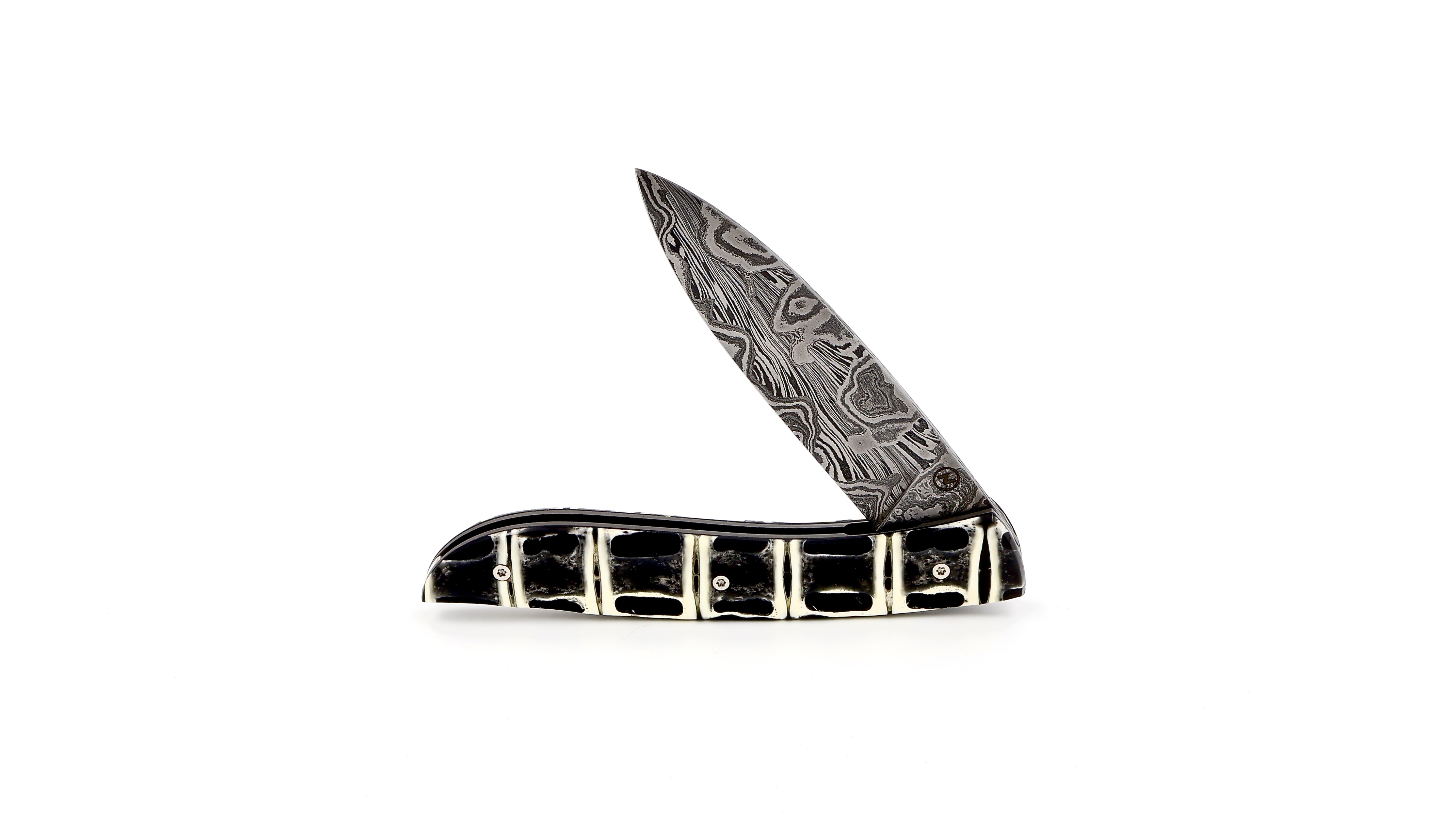Atelier NÉVÉ Tim Bernard dinosaur bone/Muonionalusta meteorit damascus blade 