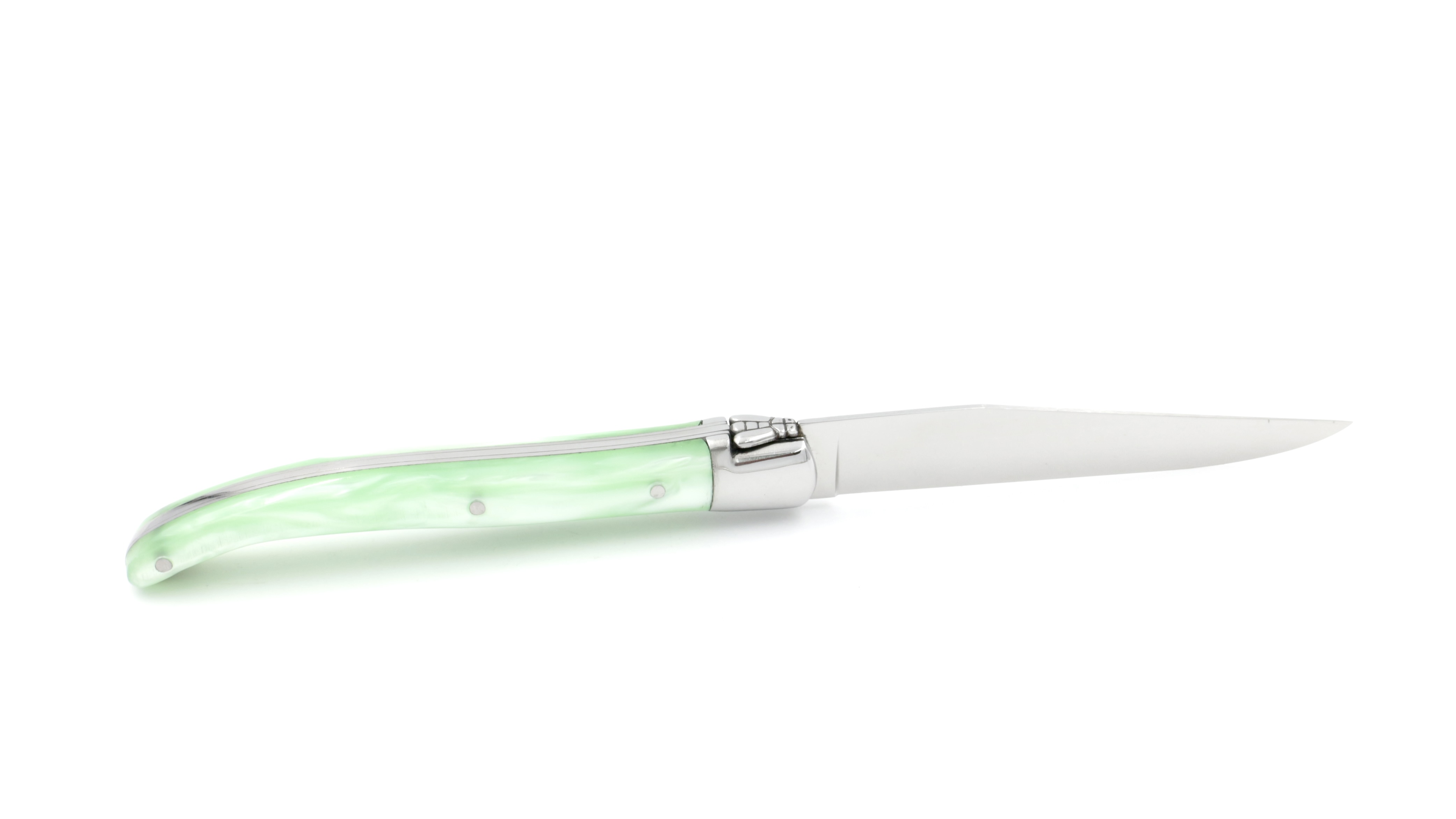 F54FCE06-4EC1-4D34-84B2-61F32CC0562C_1_201_a AU SABOT Laguiole steakknife Harmony green