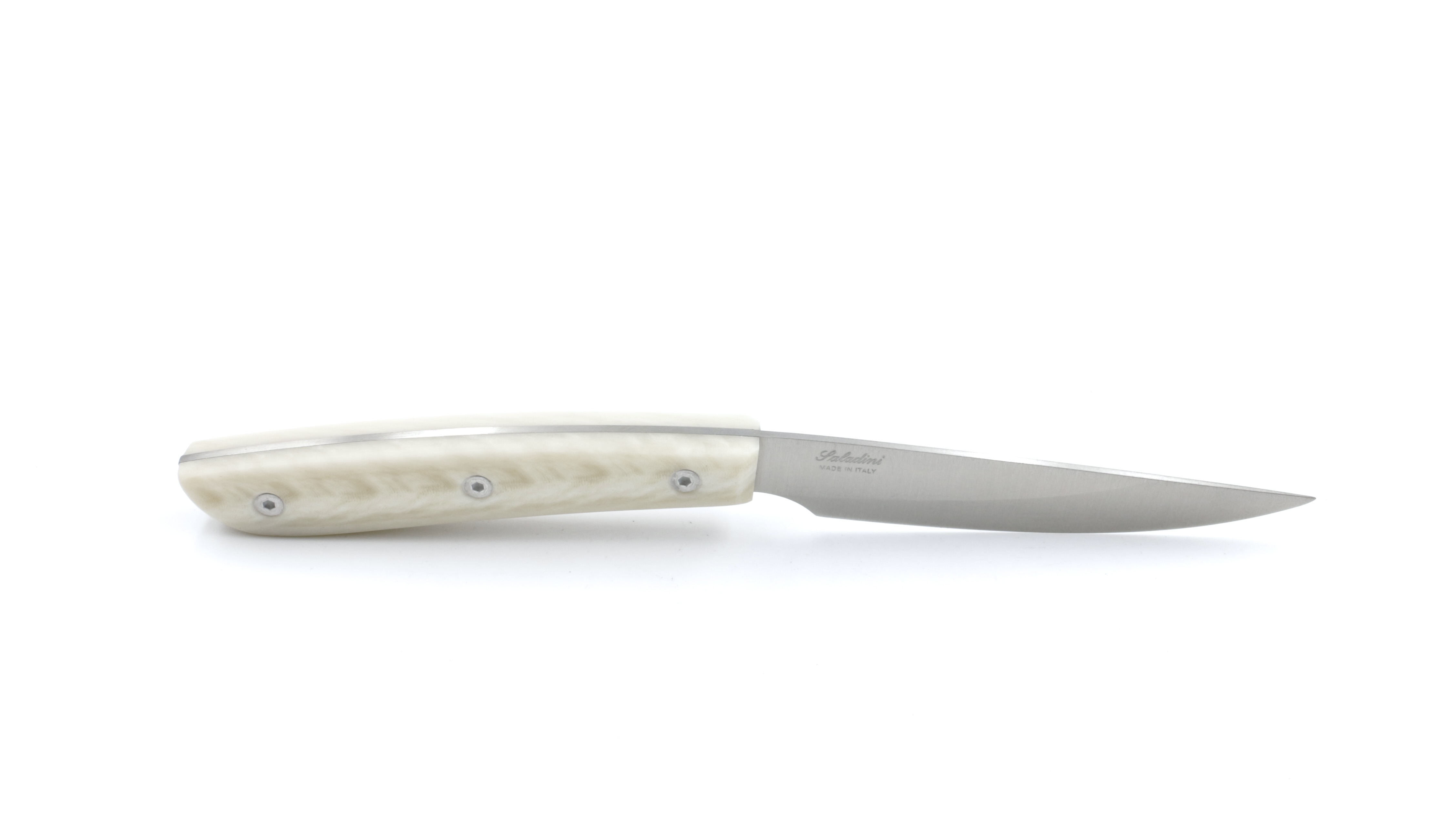 Saladini Steakmesser-Set 6-tlg. Mod. Sliced weiss