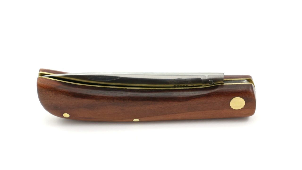 Pflaume-gross OTTER Hippekniep plum tree wood