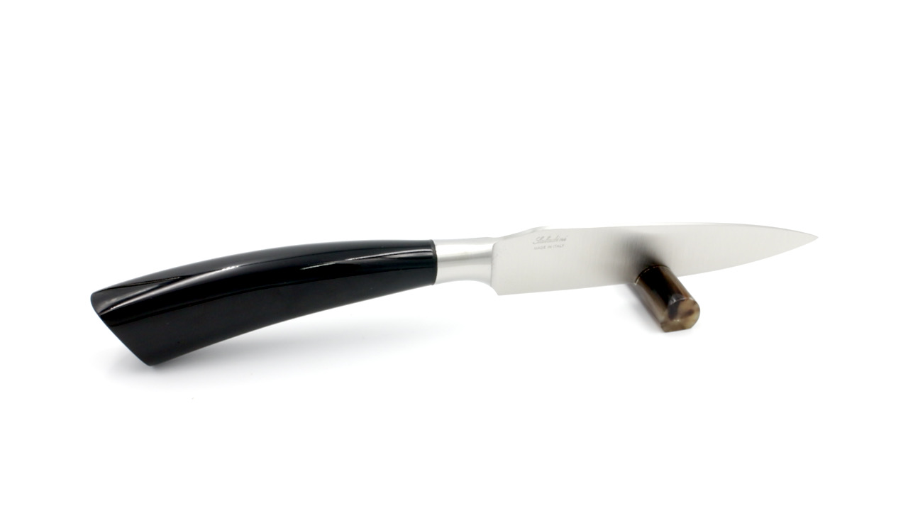 IMG_4217 Saladini big steak knife Rustico set of 6 buffalo horn