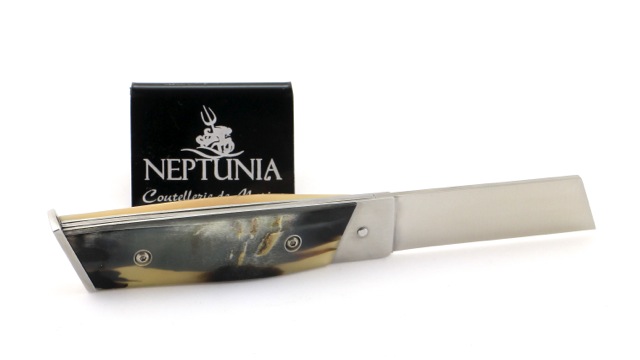 NEPTUNIA DORRY 10 cm ramhorn