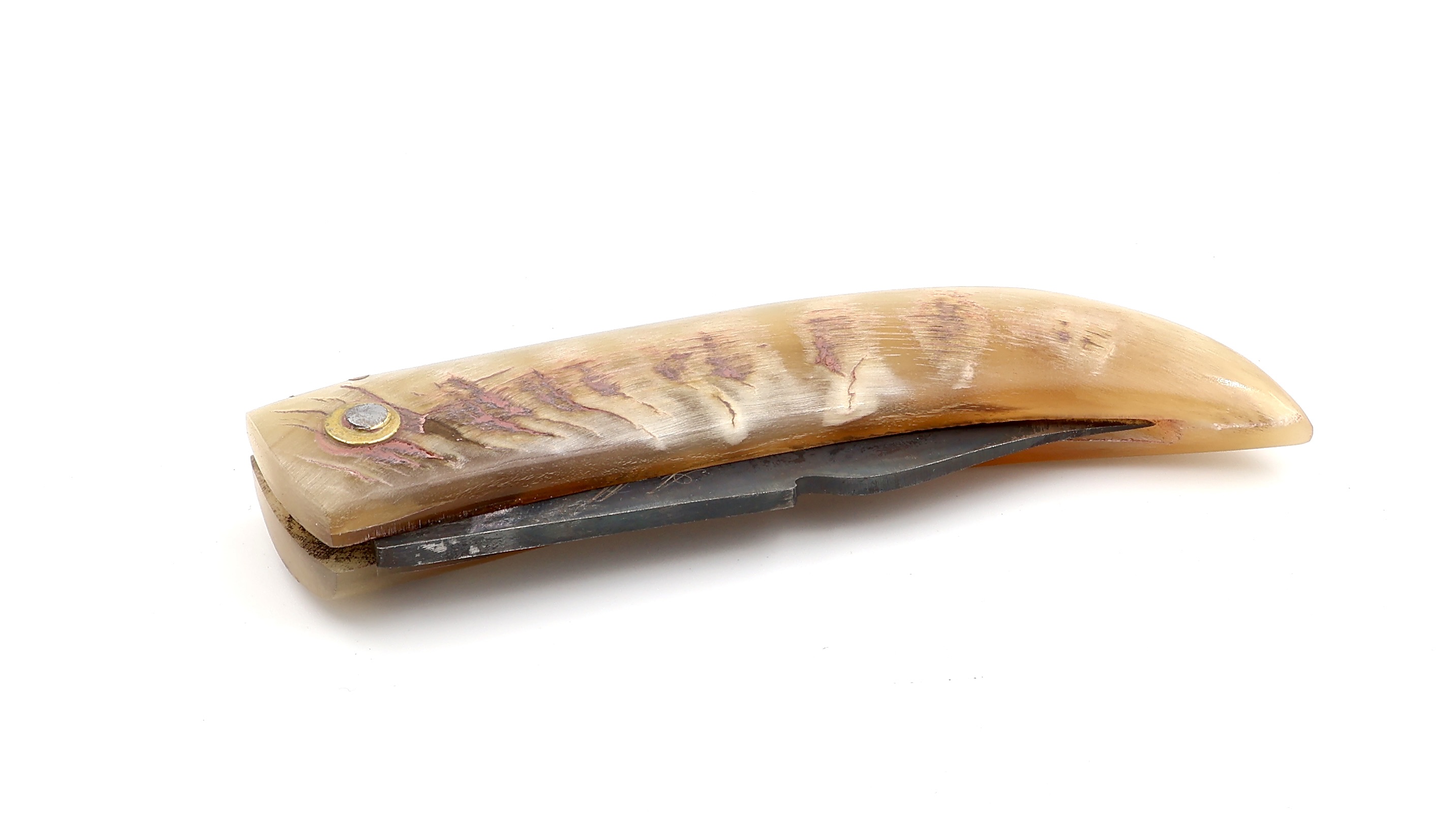 Alexandre Musso Curnicciolu ram horn light