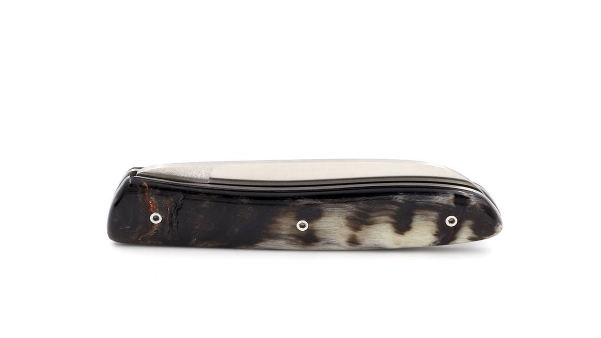 PERCEVAL L08 Widderhorn