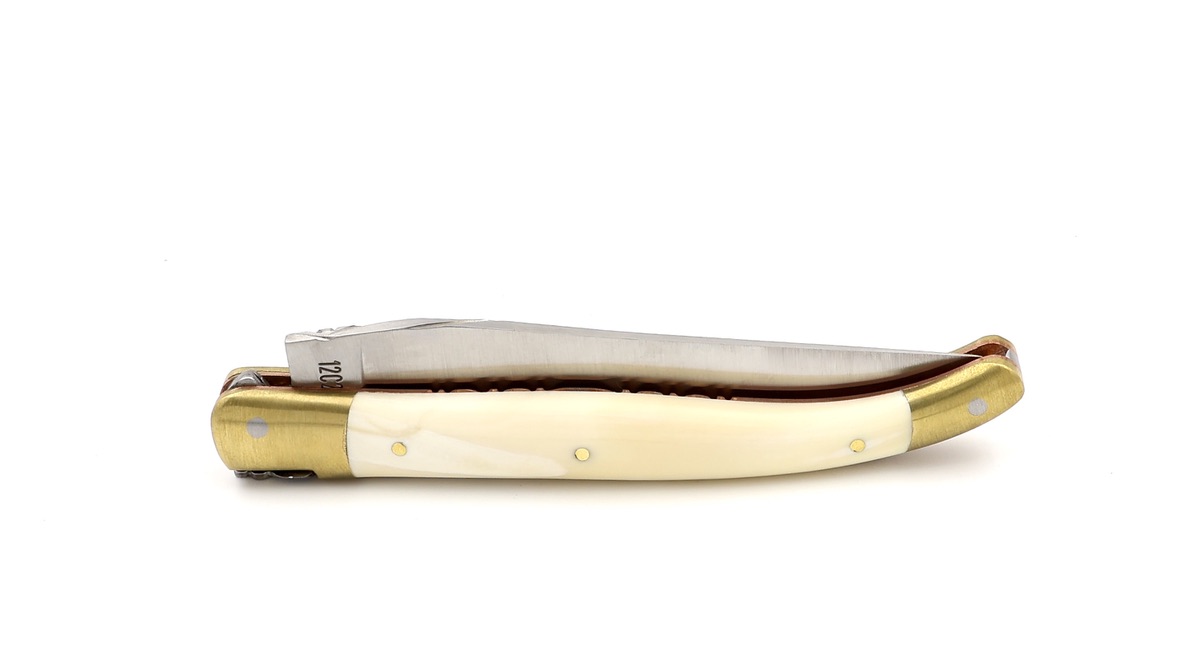 Laguiole en Aubrac knife BIJOU warthog with chiseled plates 12 cm