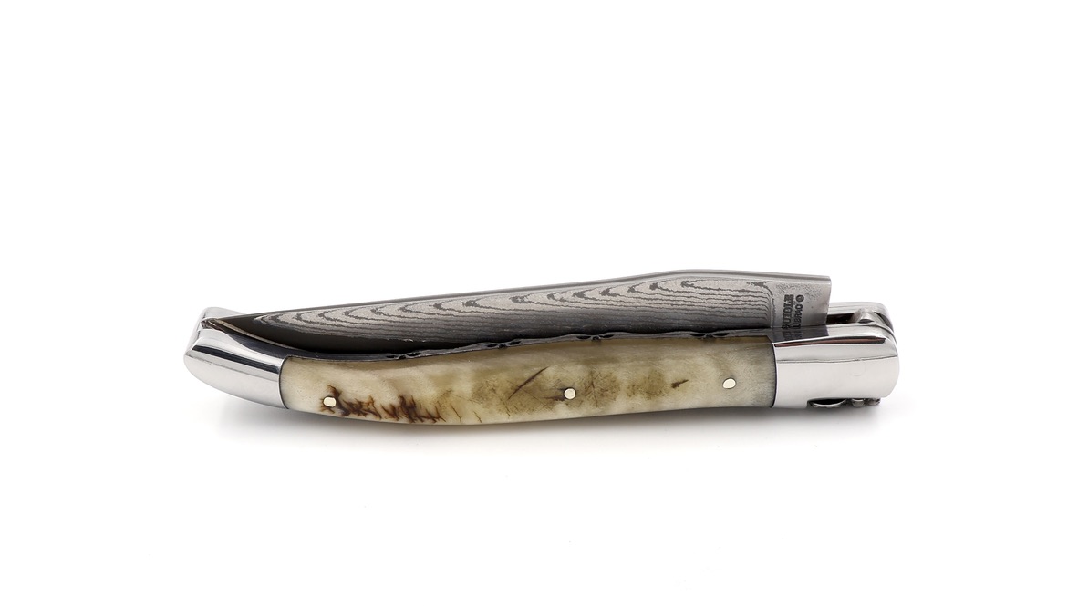 Laguiole en Aubrac double plate knife jap. damascus Ram horn 12 cm