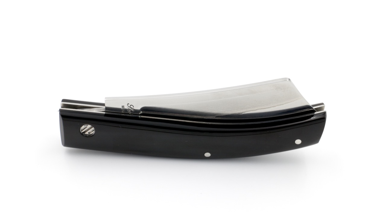 IMG_1253 Saladini RASOLINO Büffelhorn VG10 Damast