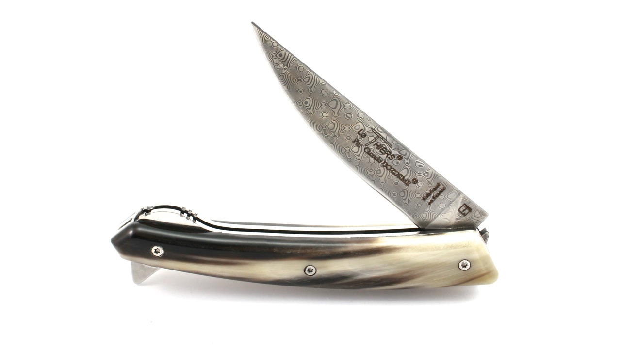 IMG_9216 Claude DOZORME Thiers VERROU Damast Hornspitze