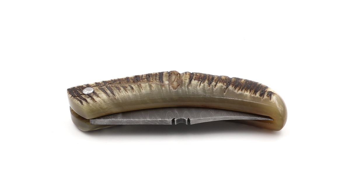 Coutellerie du Lotus Cornicciolu Widderhorn twisted Damast