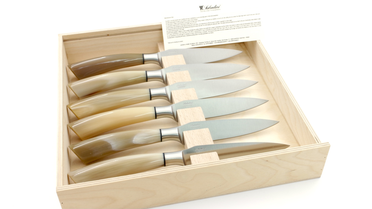 Saladini  Rustico großes Steakmesser Set 6-tlg. Hornspitze