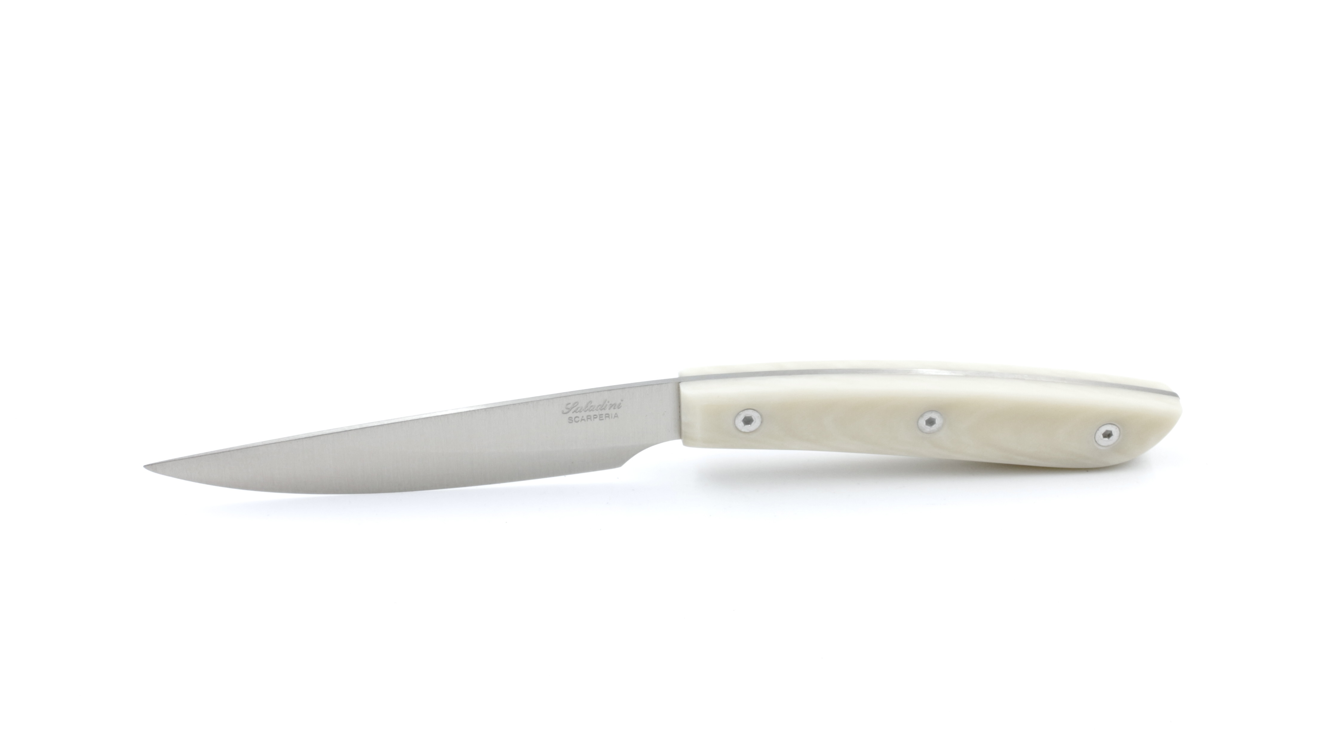 Saladini Steakmesser-Set 6-tlg. Sliced Resin weiss