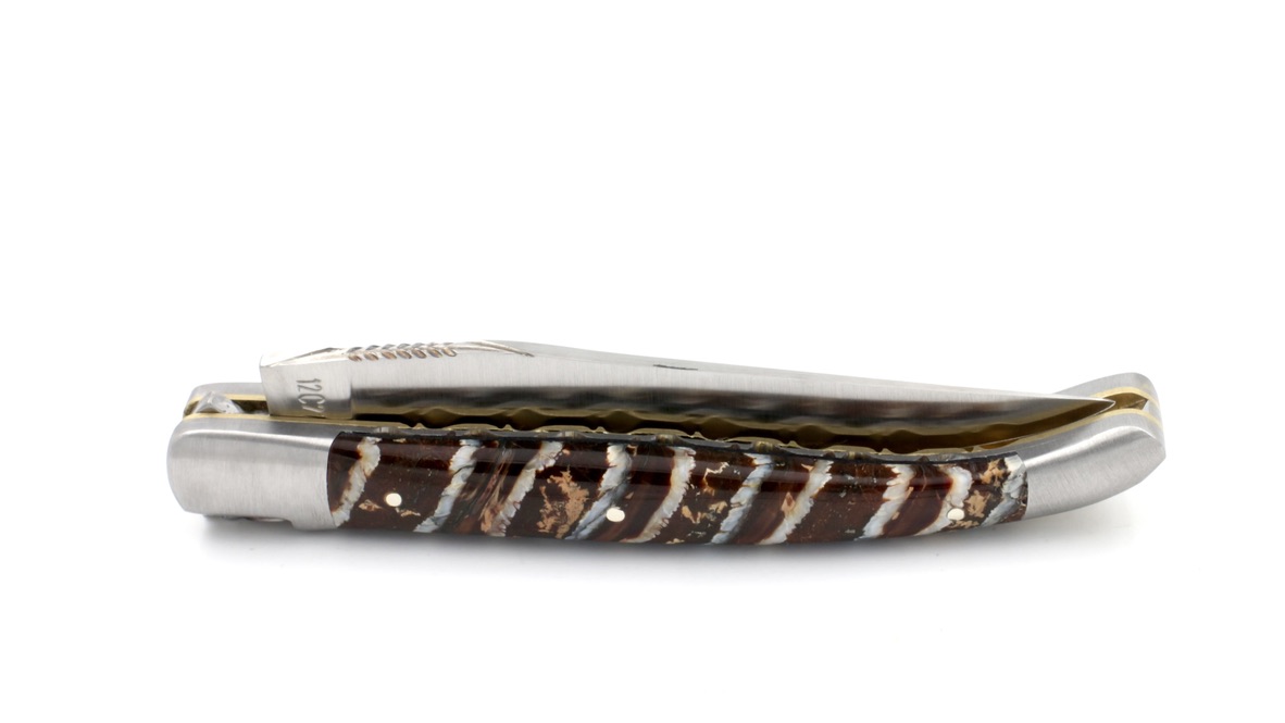 Laguiole en Aubrac double plate knife Mammoth molar blue 12 cm